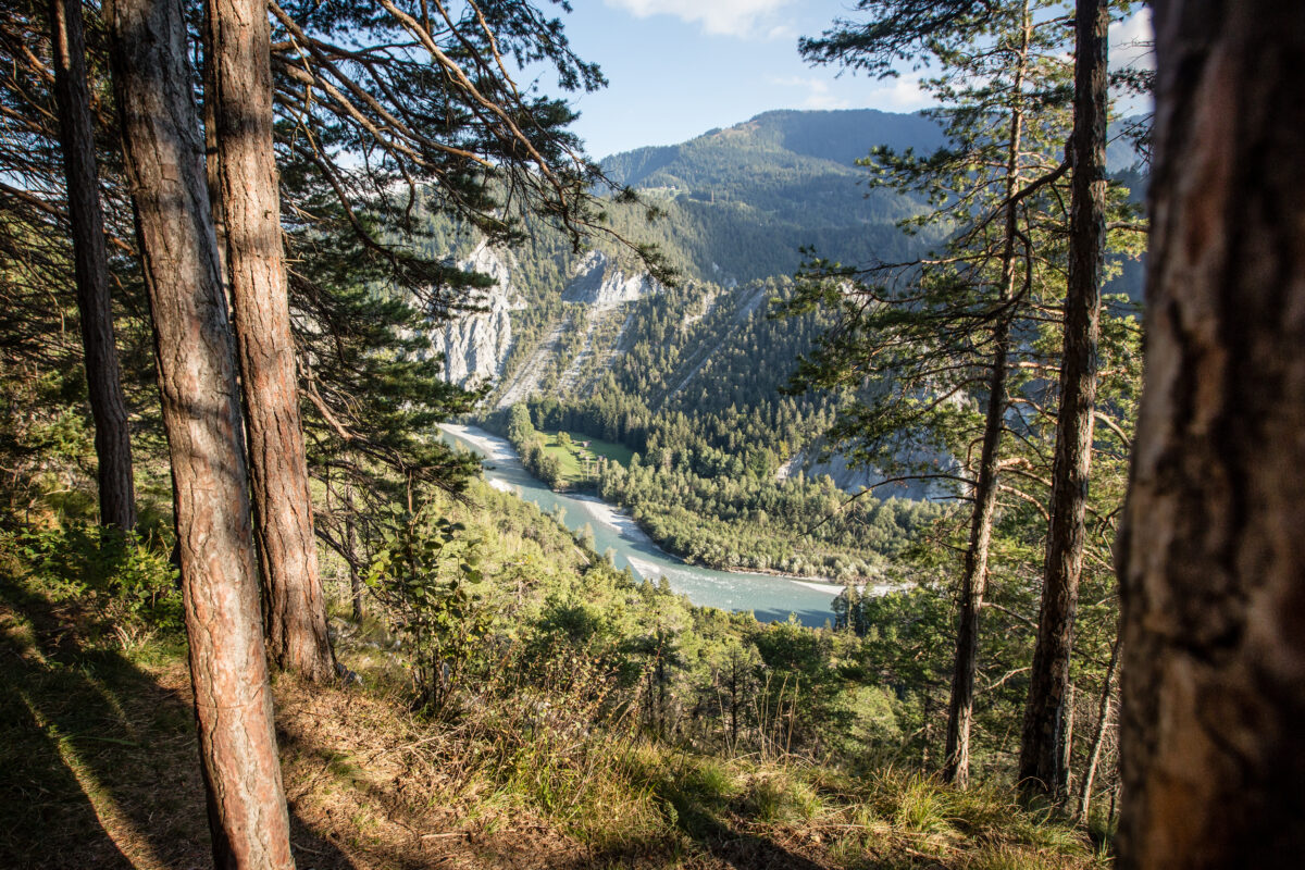 Blick in die Rheinschlucht