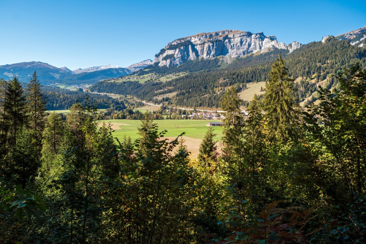 Porclis im Sommer